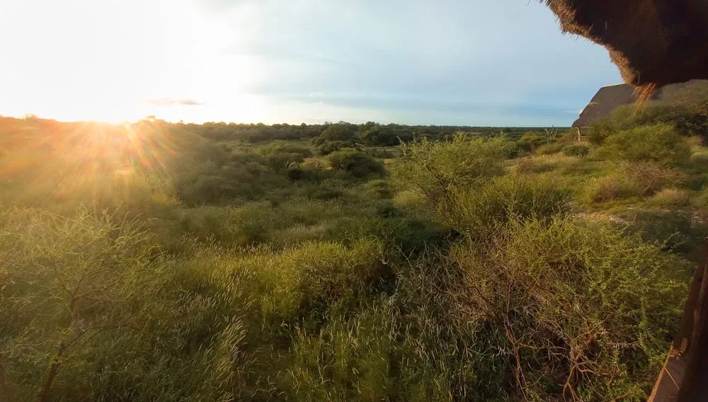 un paisaje abierto y salvaje donde comienza cada jornada de safari rodeado de naturaleza virgen.